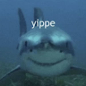 Meet your Posher, Milo